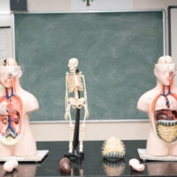 Slate Gannavaram School Gallery 8