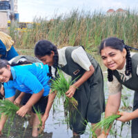 Slate Gannavaram School Gallery 20